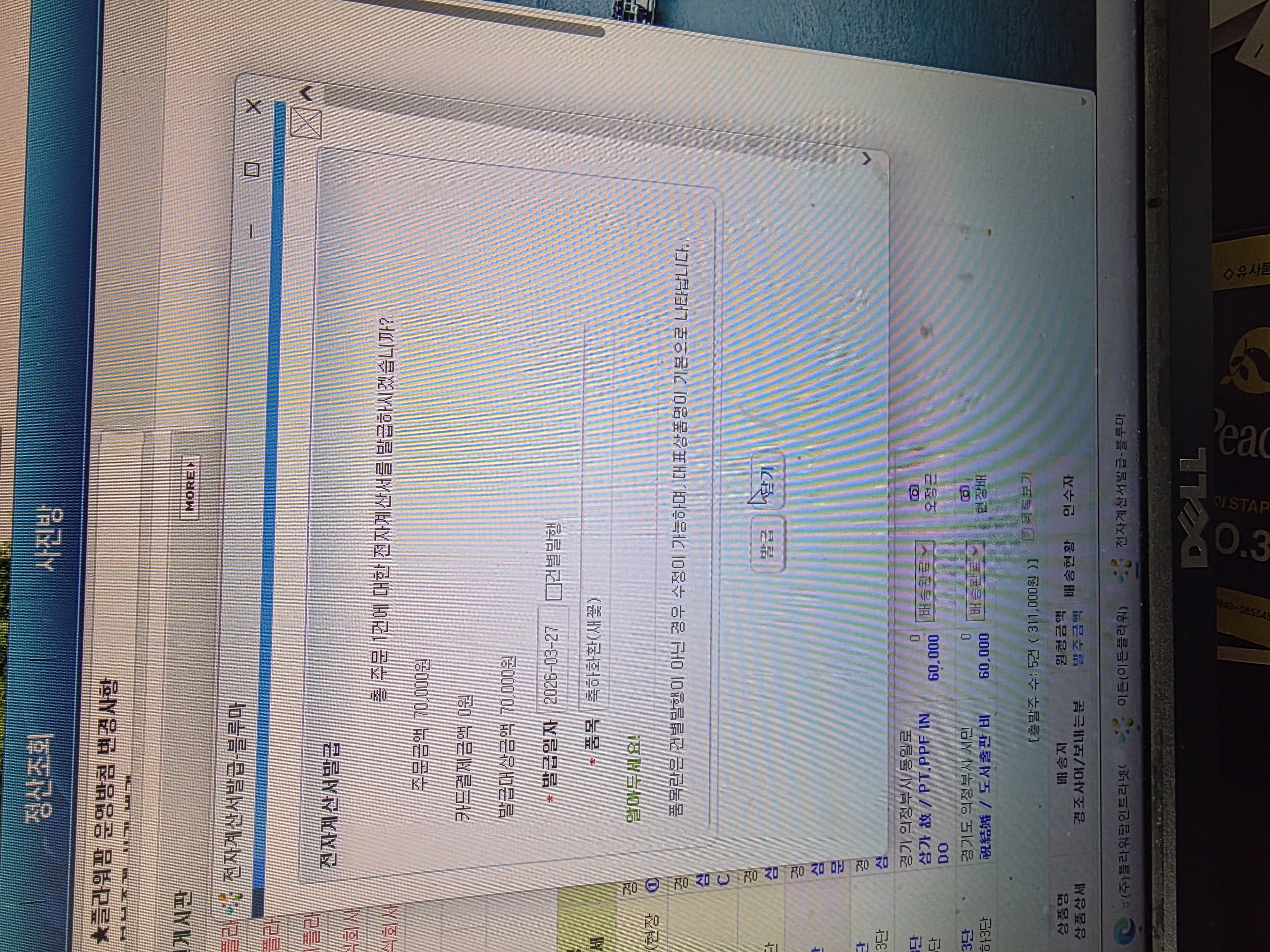 야외 공간과 수영장